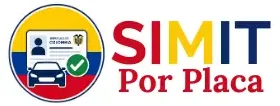 SIMIT Por Placa (1)